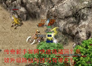 ����������ο�������������Ч����·���뼼������Щ��