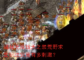 �����޵�����֮����Ұ�����淨�����ж�̼���