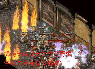 �����޵�����֮����Ұ�����淨�����ж�̼���