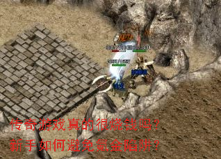 ������Ϸ��ĺ���Ǯ��������α���봽����壿