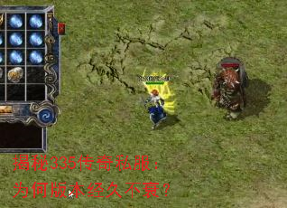 ����335����˽����Ϊ�ΰ汾���ò�˥��