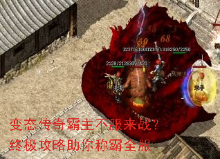 ��̬�������������ս���ռ���������ư�ȫ��