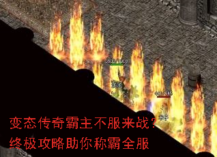 ��̬�������������ս���ռ���������ư�ȫ��