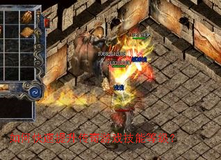 ��ο�������������Ϸ���ܵȼ���