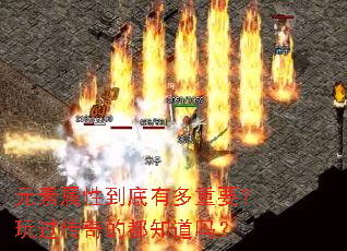 Ԫ�����Ե����ж���Ҫ���������Ķ�֪����