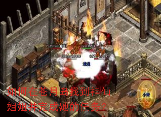 ����ڲ��µ��ҵ����ɽ�㲢�����������