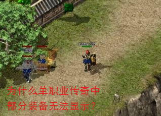 Ϊʲô��ְҵ�����в���װ���޷���ʾ��