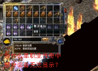 Ϊʲô��ְҵ�����в���װ���޷���ʾ��