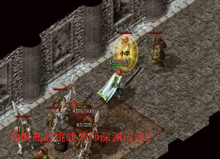 ��θ�Ч��ս��ʦ��Ԩ����