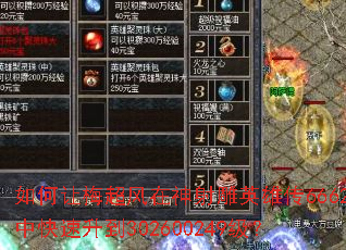 �����÷�����������Ӣ�۴�6662�п�������302600249����