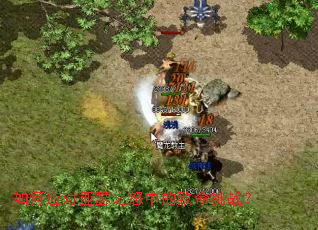 ���Ӧ����ɪ֮ŭ�е�������ս��