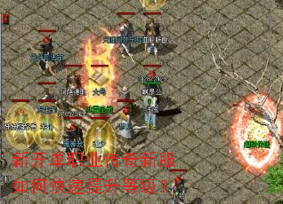 �¿���ְҵ�����·���ο��������ȼ���