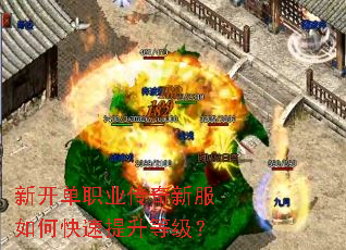 �¿���ְҵ�����·���ο��������ȼ���