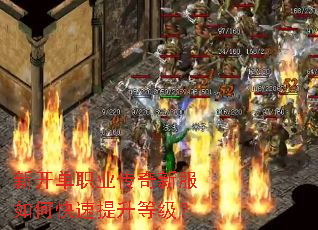 �¿���ְҵ�����·���ο��������ȼ���