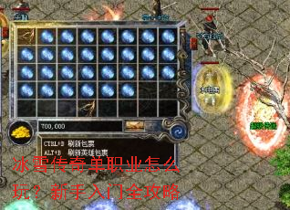 ��ѩ���浥ְҵ��ô�棿��������ȫ����