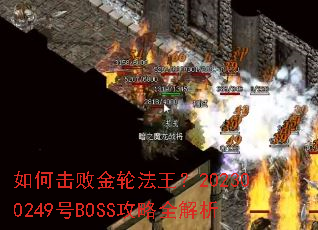 ��λ��ܽ��ַ�����202300249��BOSS����ȫ����