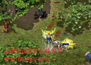 ��ο��������������紫���еĽ�ɫ�ȼ���