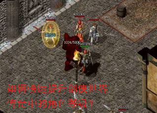 ��ο��������������紫���еĽ�ɫ�ȼ���