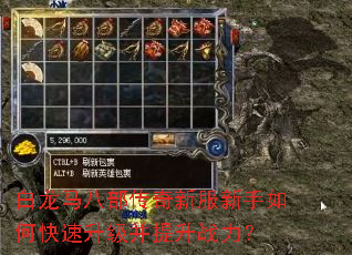 �������˲������·�������ο�������������ս����