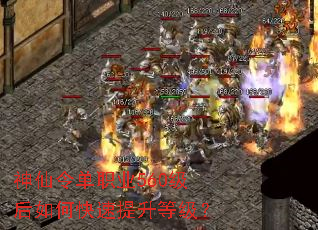 �����ְҵ560������ο��������ȼ���