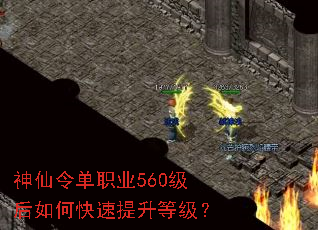 �����ְҵ560������ο��������ȼ���