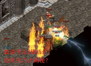 ѪȾ����2��������ˢ���ɴ���أ�