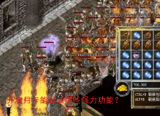 �����¿��ܼ�����Щǿ�����ܣ�