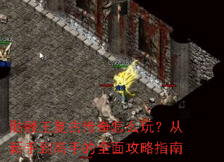 ���������Ŵ�����ô�棿�����ֵ����ֵ�ȫ�湥��ָ��