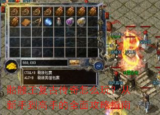 ���������Ŵ�����ô�棿�����ֵ����ֵ�ȫ�湥��ָ��