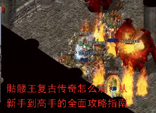 ���������Ŵ�����ô�棿�����ֵ����ֵ�ȫ�湥��ָ��