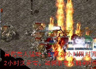 ������˻������24Сʱ��ʱ������ÿ2Сʱ��Ԫ�������ˢ����׬400Ԫ����