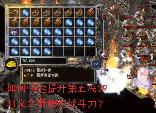 ��ο����������嵺3931��֮�����ս������