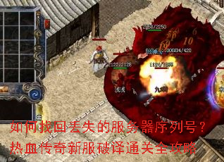 ����һض�ʧ�ķ��������кţ���Ѫ�����·�����ͨ��ȫ����