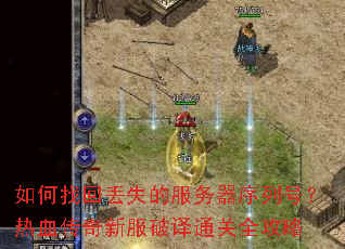 ����һض�ʧ�ķ��������кţ���Ѫ�����·�����ͨ��ȫ����