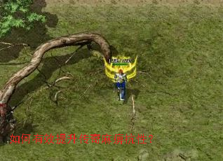 �����Ч����������Կ��ԣ�