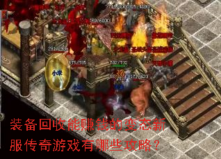 װ��������׬Ǯ�ı�̬�·�������Ϸ����Щ���ԣ�