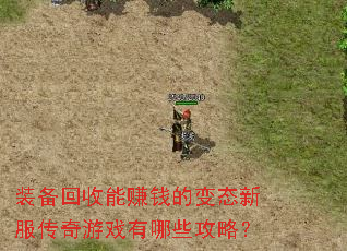 װ��������׬Ǯ�ı�̬�·�������Ϸ����Щ���ԣ�