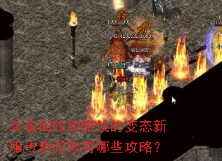 װ��������׬Ǯ�ı�̬�·�������Ϸ����Щ���ԣ�