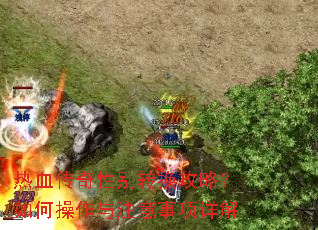 ��Ѫ�����Ա�ת�����ԣ���β�����ע���������