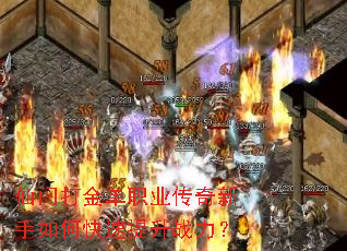 ���Ŵ��ְҵ����������ο�������ս����