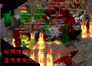 ��ο��������޳�ֵ��ְҵ�����ɫ��ս������