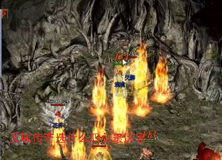 ������ѡʲôְҵ��������
