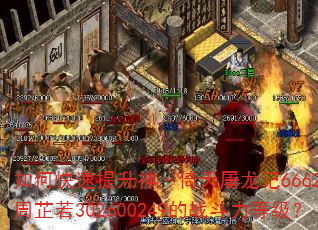 如何快速提升神·倚天屠龙记6662九阴·周芷若302600249的战斗力等级? 如何快速提升神·倚天屠龙记6662九阴·周芷若302600249的战斗力等级?