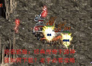 �����·������䴫����������������أ����ֱؿ�����