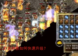 玄武神兽如何快速升级? 玄武神兽如何快速升级?