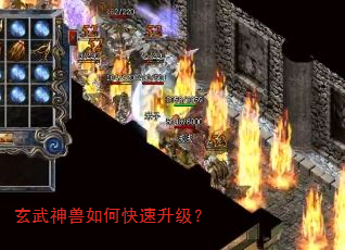 玄武神兽如何快速升级? 玄武神兽如何快速升级?