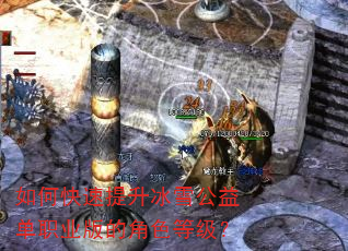 如何快速提升冰雪公益单职业版的角色等级? 如何快速提升冰雪公益单职业版的角色等级?