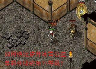 如何快速提升冰雪公益单职业版的角色等级? 如何快速提升冰雪公益单职业版的角色等级?