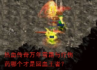 ��Ѫ��������ѩ˪������ҩ�ĸ����ǻ�Ѫ���ߣ�