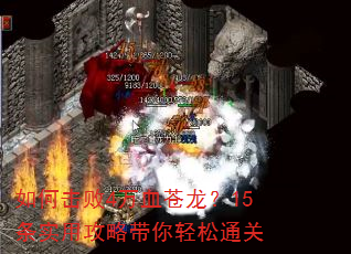 如何击败4万血苍龙?15条实用攻略带你轻松通关 如何击败4万血苍龙?15条实用攻略带你轻松通关
